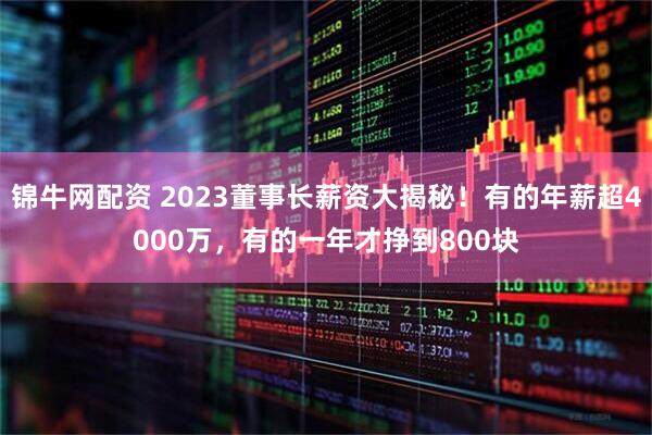 锦牛网配资 2023董事长薪资大揭秘！有的年薪超4000万，有的一年才挣到800块