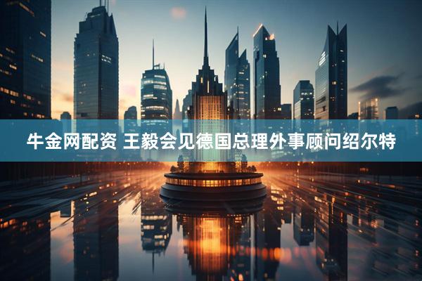 牛金网配资 王毅会见德国总理外事顾问绍尔特