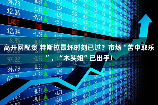 高开网配资 特斯拉最坏时刻已过？市场“苦中取乐”，“木头姐”已出手！